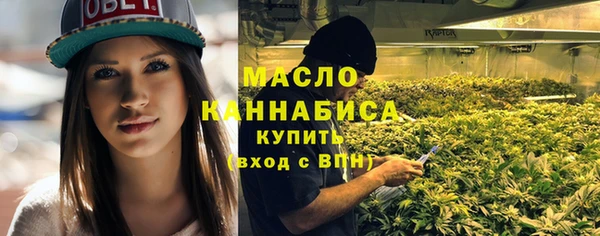 таблы Богородицк
