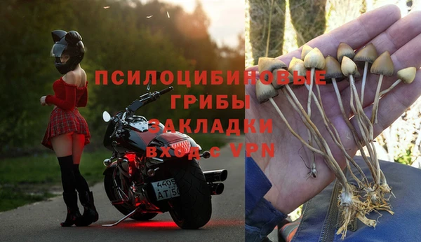 таблы Богородицк